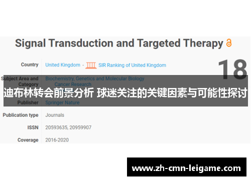 迪布林转会前景分析 球迷关注的关键因素与可能性探讨